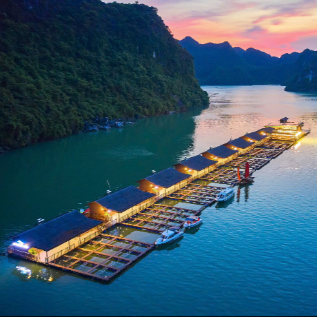 Village Flottant Culturel & Ferme Piscicole Patrimoniale : Un Nouveau Temps Fort de l’Itinéraire dans la Baie de Lan Ha avec Indochina Sails