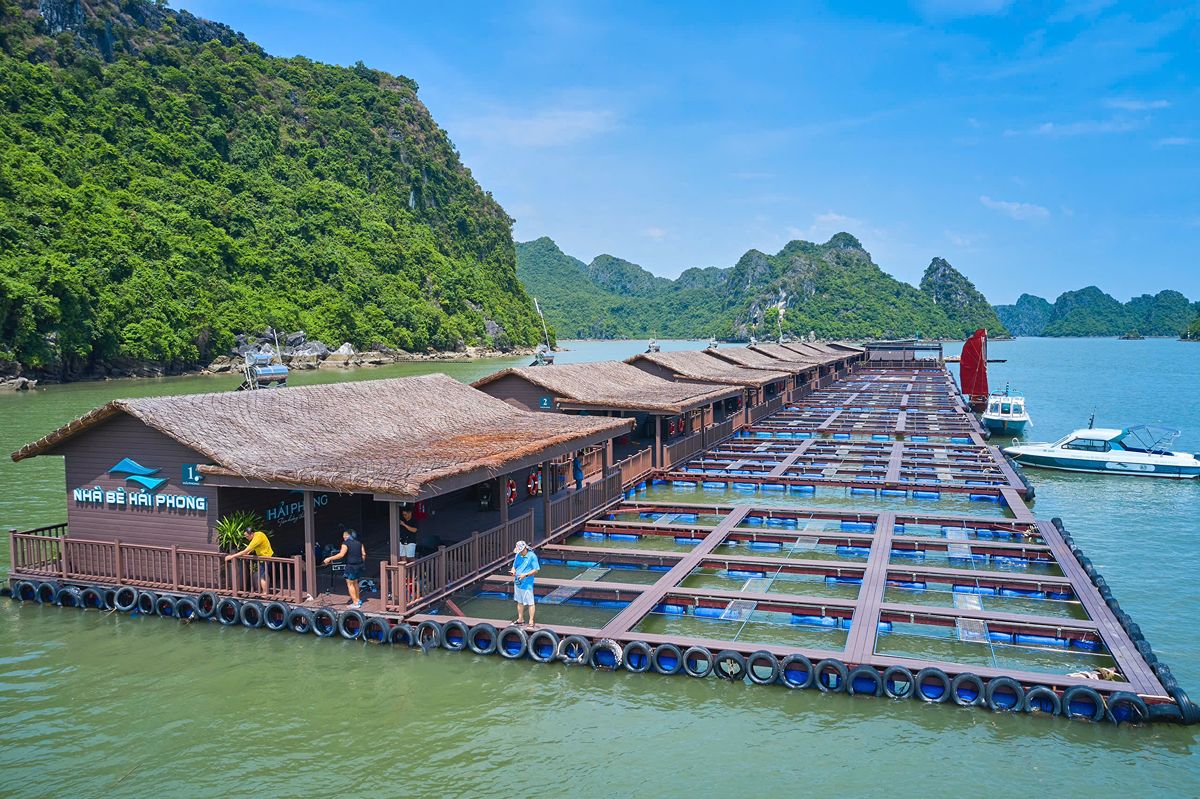 Indochine Cruise